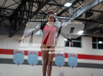 Thumbnail 1 in Gainesville Invitational (Balance Beam) photogallery.