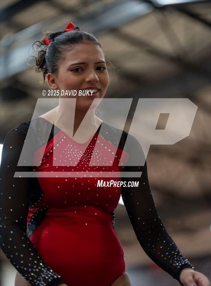 Thumbnail 1 in Gainesville Invitational (Balance Beam) photogallery.