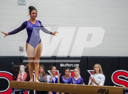 Thumbnail 2 in Gainesville Invitational (Balance Beam) photogallery.