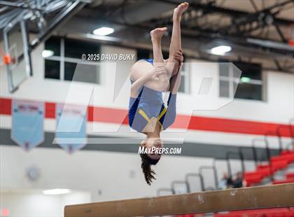 Thumbnail 2 in Gainesville Invitational (Balance Beam) photogallery.