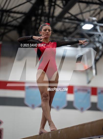 Thumbnail 1 in Gainesville Invitational (Balance Beam) photogallery.