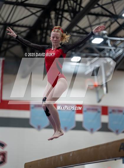 Thumbnail 3 in Gainesville Invitational (Balance Beam) photogallery.