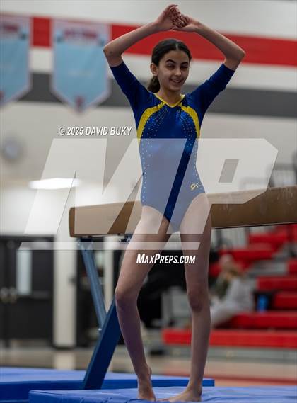 Thumbnail 1 in Gainesville Invitational (Balance Beam) photogallery.