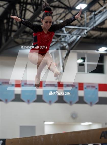 Thumbnail 3 in Gainesville Invitational (Balance Beam) photogallery.