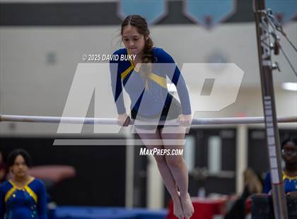 Thumbnail 3 in Gainesville Invitational (Balance Beam) photogallery.