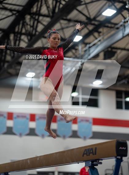 Thumbnail 2 in Gainesville Invitational (Balance Beam) photogallery.