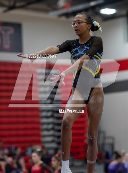 Thumbnail 2 in Gainesville Invitational (Balance Beam) photogallery.