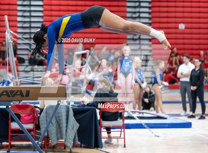 Thumbnail 3 in Gainesville Invitational (Balance Beam) photogallery.