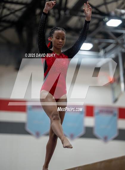 Thumbnail 2 in Gainesville Invitational (Balance Beam) photogallery.