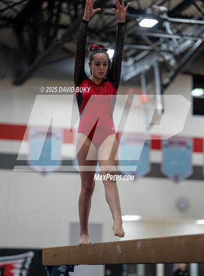 Thumbnail 2 in Gainesville Invitational (Balance Beam) photogallery.