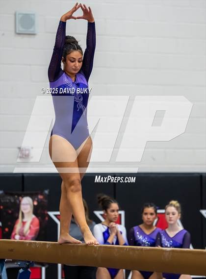 Thumbnail 1 in Gainesville Invitational (Balance Beam) photogallery.
