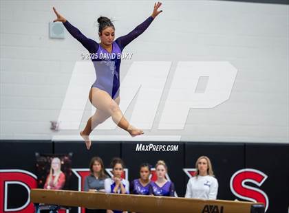Thumbnail 2 in Gainesville Invitational (Balance Beam) photogallery.