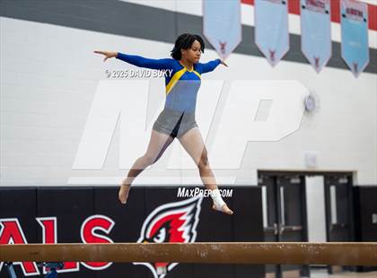 Thumbnail 1 in Gainesville Invitational (Balance Beam) photogallery.