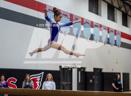 Thumbnail 1 in Gainesville Invitational (Balance Beam) photogallery.