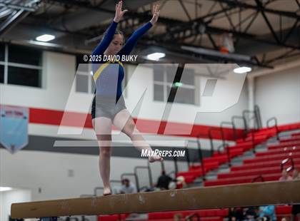 Thumbnail 2 in Gainesville Invitational (Balance Beam) photogallery.