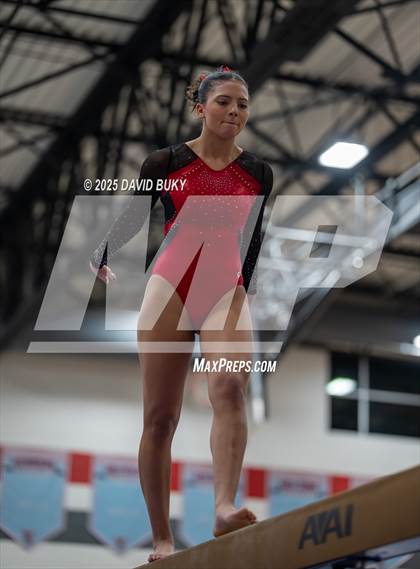 Thumbnail 3 in Gainesville Invitational (Balance Beam) photogallery.