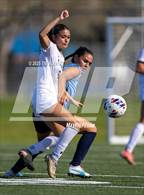 Photo from the gallery "Fossil Ridge @ Ralston Valley (CHSAA 5A - Quarterfinals)"