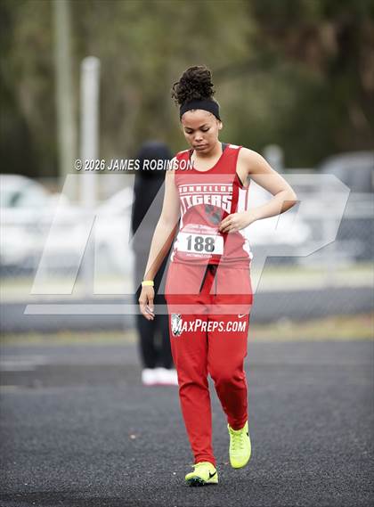 Thumbnail 3 in Lewis James Invitational (High Jump) photogallery.
