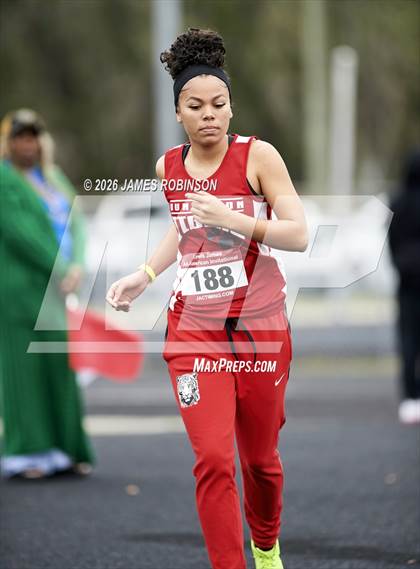 Thumbnail 3 in Lewis James Invitational (High Jump) photogallery.