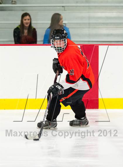 Thumbnail 1 in Mamaroneck @ Mahopac photogallery.