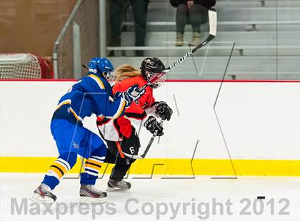 Thumbnail 3 in Mamaroneck @ Mahopac photogallery.