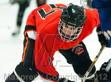 Thumbnail 3 in Mamaroneck @ Mahopac photogallery.