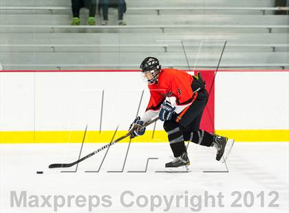 Thumbnail 1 in Mamaroneck @ Mahopac photogallery.