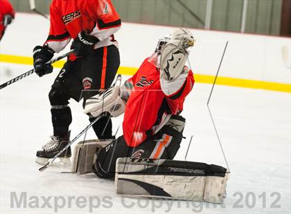 Thumbnail 3 in Mamaroneck @ Mahopac photogallery.