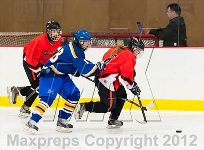 Thumbnail 3 in Mamaroneck @ Mahopac photogallery.