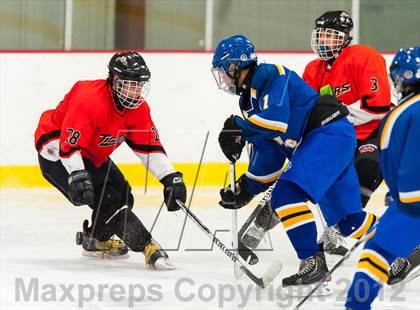 Thumbnail 2 in Mamaroneck @ Mahopac photogallery.