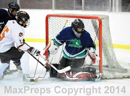 Thumbnail 2 in Mt. Pleasant @ White Plains photogallery.