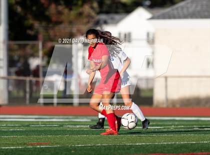 Thumbnail 3 in Glastonbury @ Conard photogallery.