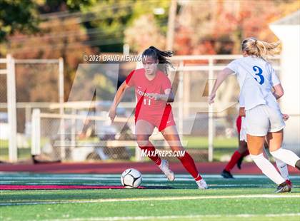 Thumbnail 3 in Glastonbury @ Conard photogallery.