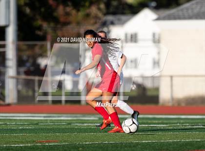 Thumbnail 1 in Glastonbury @ Conard photogallery.