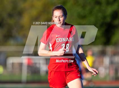 Thumbnail 3 in Glastonbury @ Conard photogallery.