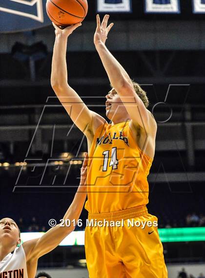 Thumbnail 1 in Wilmington vs. Archbishop Moeller (OHSAA Southwest Regional Playoff) photogallery.