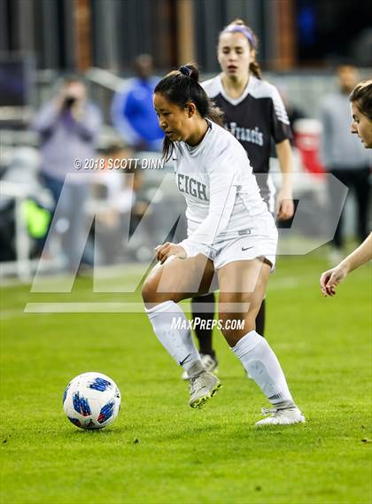 Thumbnail 1 in Saint Francis v Leigh (Avaya High School Series) photogallery.