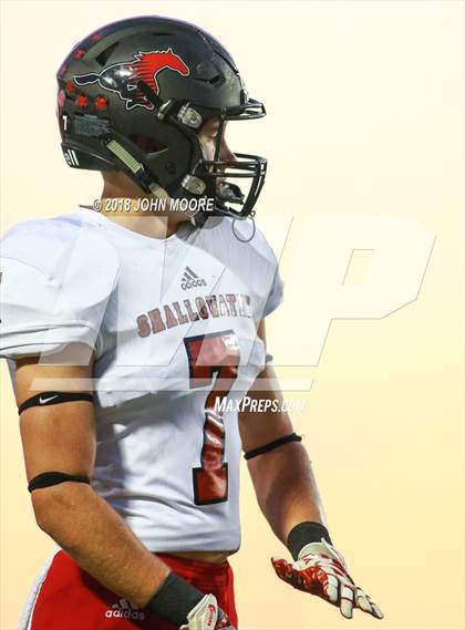 Thumbnail 3 in Shallowater @ Bushland photogallery.