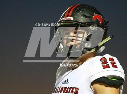 Thumbnail 3 in Shallowater @ Bushland photogallery.