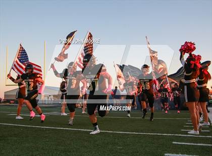 Thumbnail 2 in Shallowater @ Bushland photogallery.