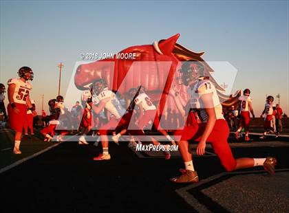 Thumbnail 1 in Shallowater @ Bushland photogallery.