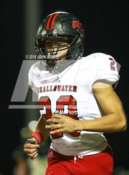 Thumbnail 3 in Shallowater @ Bushland photogallery.