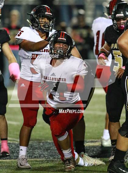 Thumbnail 3 in Shallowater @ Bushland photogallery.