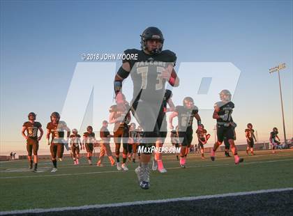Thumbnail 1 in Shallowater @ Bushland photogallery.