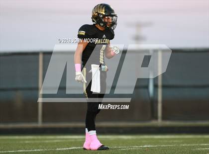 Thumbnail 3 in Shallowater @ Bushland photogallery.