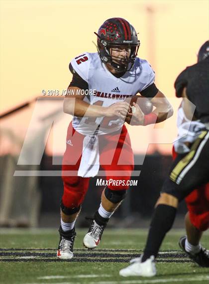 Thumbnail 1 in Shallowater @ Bushland photogallery.
