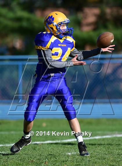 Thumbnail 3 in Torrington @ Seymour photogallery.