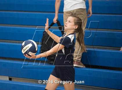 Thumbnail 3 in Lusher @ Ursuline Academy photogallery.