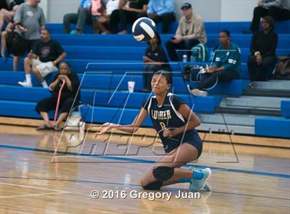 Thumbnail 3 in Lusher @ Ursuline Academy photogallery.