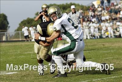 null - Photo 11